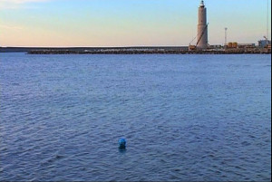 mare pallone